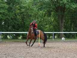 img_4470_web